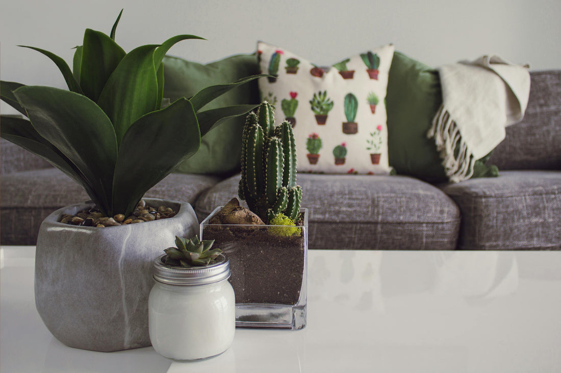 Living Room Essentials