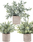 Der Rose 3 Pack Mini Potted Plastic Plants