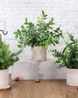 Der Rose 3 Pack Mini Potted Plastic Plants