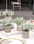 Der Rose 3 Pack Mini Potted Plastic Plants