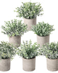 Der Rose 3 Pack Mini Potted Plastic Plants
