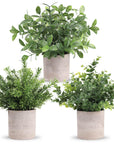 Der Rose 3 Pack Mini Potted Plastic Plants