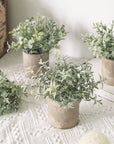 Der Rose 3 Pack Mini Potted Plastic Plants